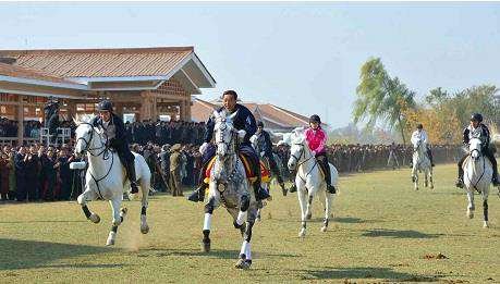 Mirim Horse Riding Club - MAMDEV Ghana Ltd