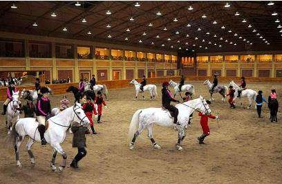 Mirim Horse Riding Club - MAMDEV Ghana Ltd