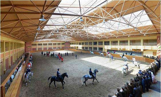 Mirim Horse Riding Club - MAMDEV Ghana Ltd