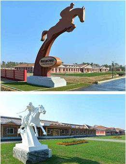 Mirim Horse Riding Club - MAMDEV Ghana Ltd